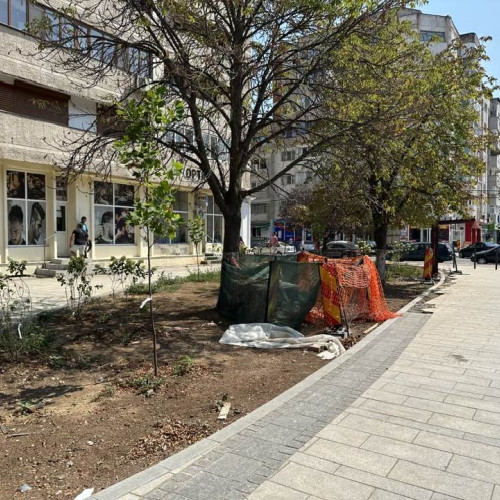 Modernizarea pietonalului de pe strada Libertății, un proiect controversat în Alexandria