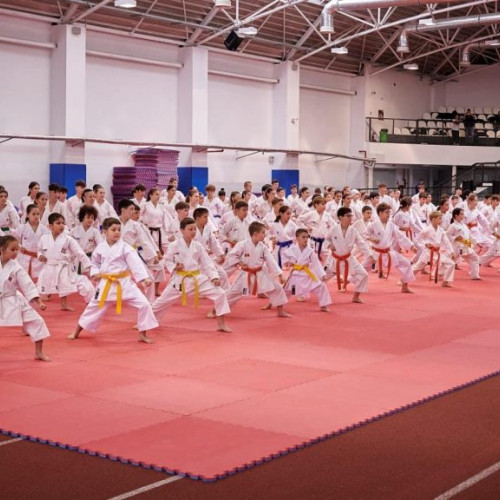 16 sportivi de la CSM Alexandria participă la Cupa și Campionatul Mondial de Karate SKDUN