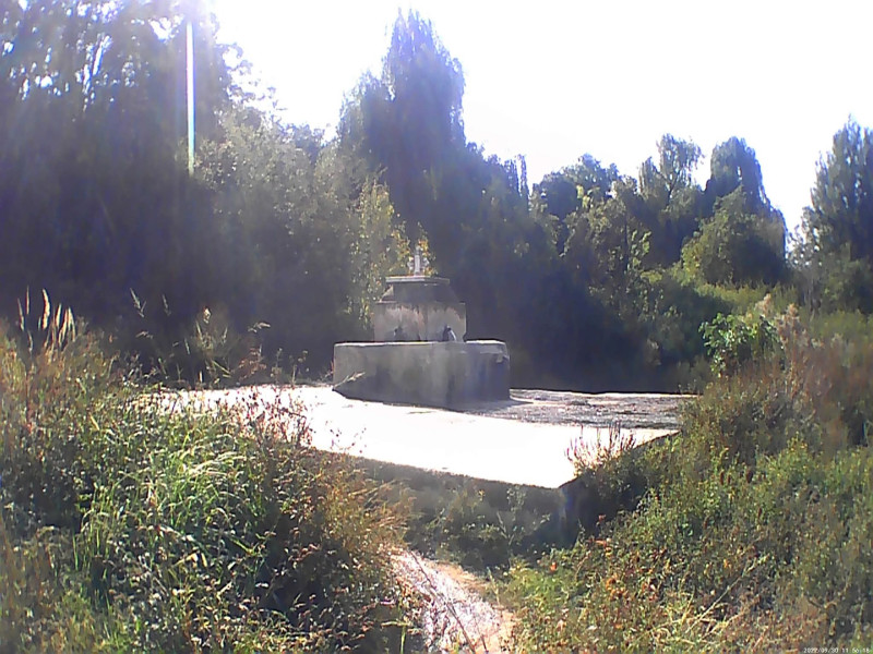 Image Description