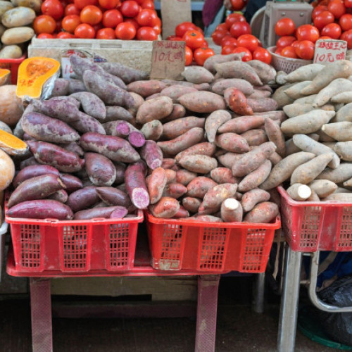 Cartofii și roșiile au un strămoș comun, iar asta poate ajuta la revoluționarea agriculturii: tomate la suprafață, tuberculi în pământ