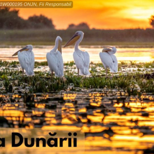 (P) Tot ce trebuie să știm despre Delta Dunării, declarată rezervație a biosferei