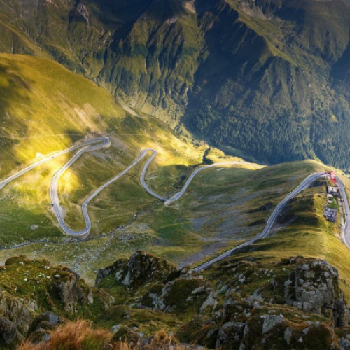 Turiștii, atacați frecvent de câinii de la stâne. Sfaturile și recomandările Salvamont