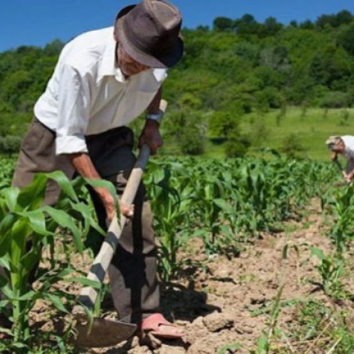 Peste 13 Milioane de Euro Alocate de AFIR pentru Înființarea de Grupuri de Producători Agricoli și Pomicoli