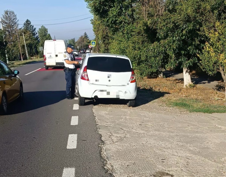 Șofer din Zimnicea, dosar penal pentru numere false de înmatriculare