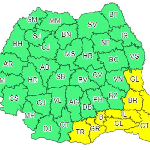 Vremea extremă în Teleorman: Cod galben de ninsori și vânt puternic