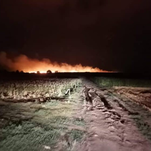 Incendiu devastator într-un lan de grâu din Brânceni: Focul a distrus culturile agricole și a cauzat pagube în valoare de peste 100.000 de lei