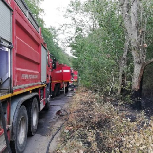 Un incendiu a izbucnit la o zona populara din Roșiorii de Vede! Cauza pare a fi o țigară aruncată care a declanșat un incendiu de vegetație uscată. Pompierii au intervenit imediat, iar focul a fost stins cu succes!