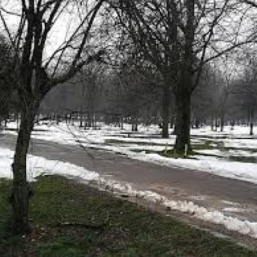 Femeie brutal agresată de recidivist în parc din Roșiorii de Vede